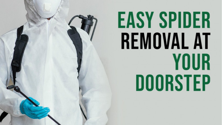 Ensure Pest Control: Leading Pest Control Services in Dubai