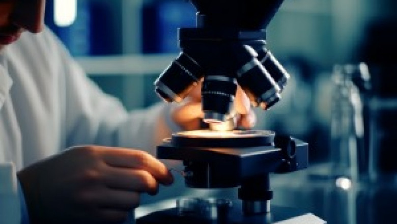 Regenerative vs Mechanical Support in Tissue Engineering and Orthopedics