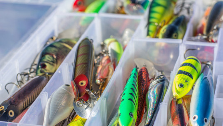 Seasonal Fishing Tips: Choosing the Right Sensation Tackle Box and Salmo 3.5 Lure