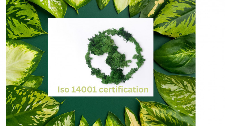 ISO 14001 Certification: Managing Environmental Impact Without Losing Your Mind