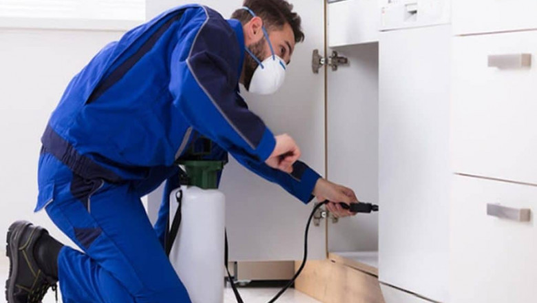 Pest Control and Bed Bug Treatment Services in Pakistan