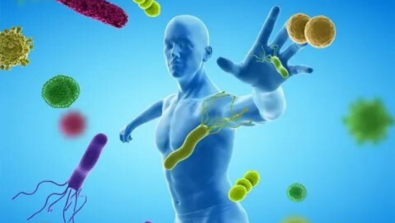 Science-Driven Chronic Fatigue Solutions Revealed