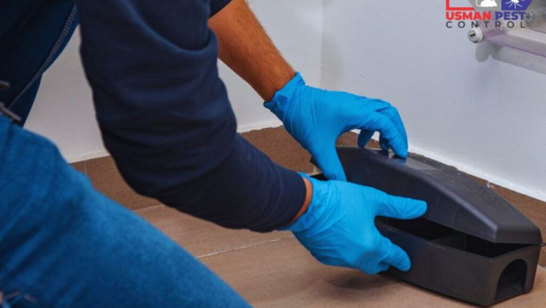 Termite Control Services & Rodent Pest Control in Pakistan
