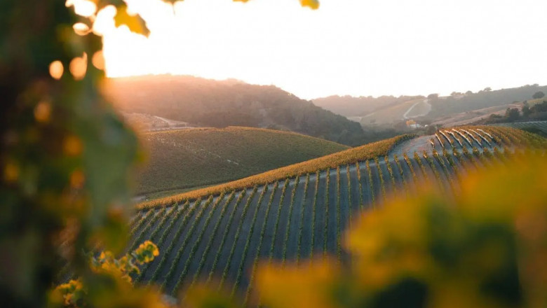 Sip, Stay, and Savor: Your Escape to Wine Country at Paso Robles Inn