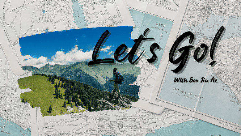 Travel Themes on Sktthemes: A Vast Collection Tailored for Travel Websites