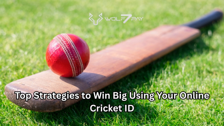 Top Strategies to Win Big Using Your Online Cricket ID