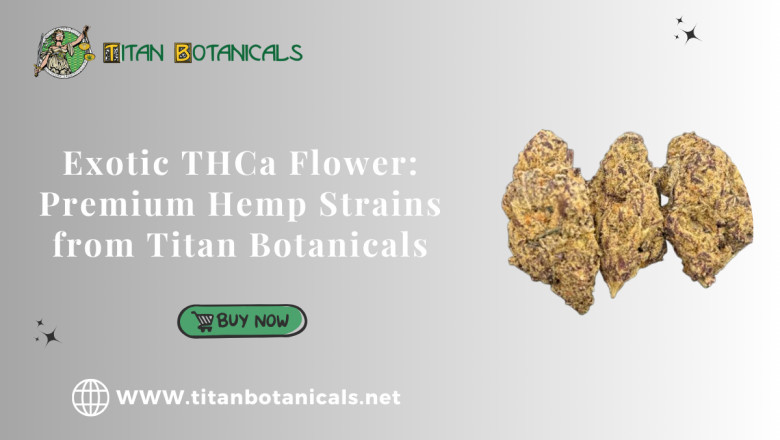 Premium Exotic THCa Flower for Sale Only At Titan Botanicals
