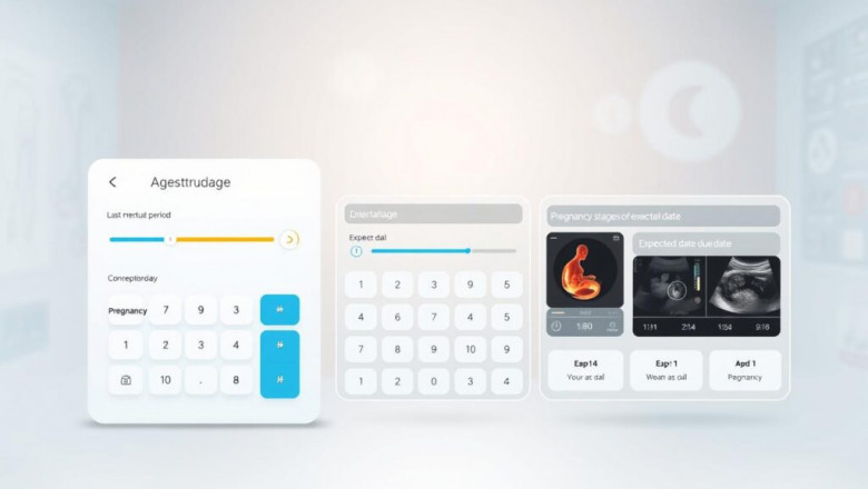 Pregnancy Calculator