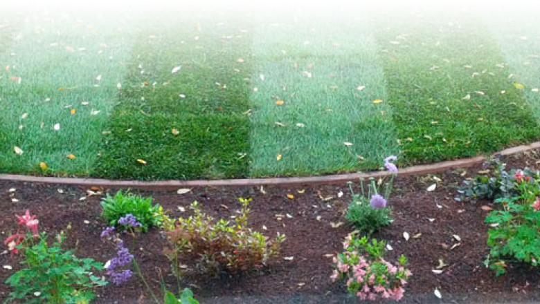 Professional Landscaping Service in San Jose, Bay Area - Landscaping Contractors - Landscaping Company
