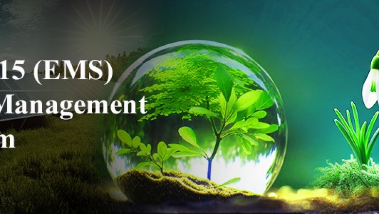 ISO 14001 Certification: A Smart Move for Sustainable Growth