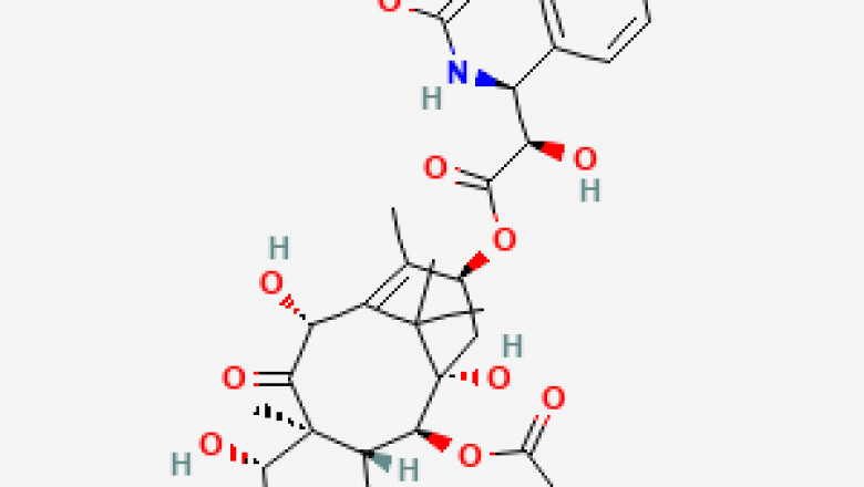 Docetaxel Market Analysis Experts Review Report To 2033
