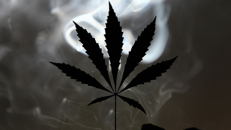 Online Weed Dispensary in Canada: Your Complete Guide