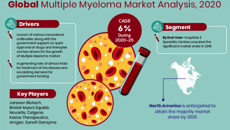 Multiple Myeloma Market Study: Players, Share, and Emerging Trends 2025