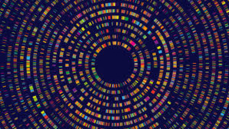 USA Genome Sequencing Market Study: Players, Share, and Emerging Trends 2025