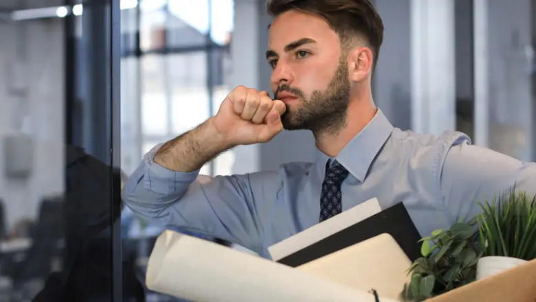 How to Find the Best Moving Company in Roseville