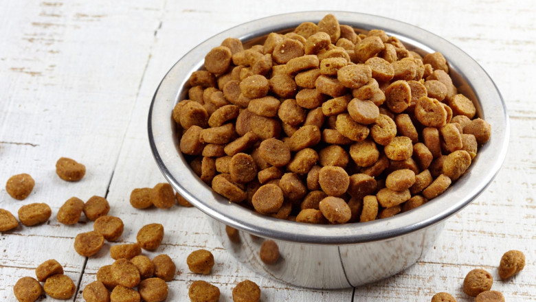 NutriSource Canned Dog Food: A Premium Choice for Your Pet's Health