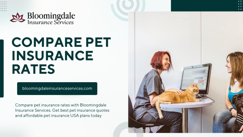 Compare Pet Insurance Rates with Bloomingdale Insurance Services for Best Coverage