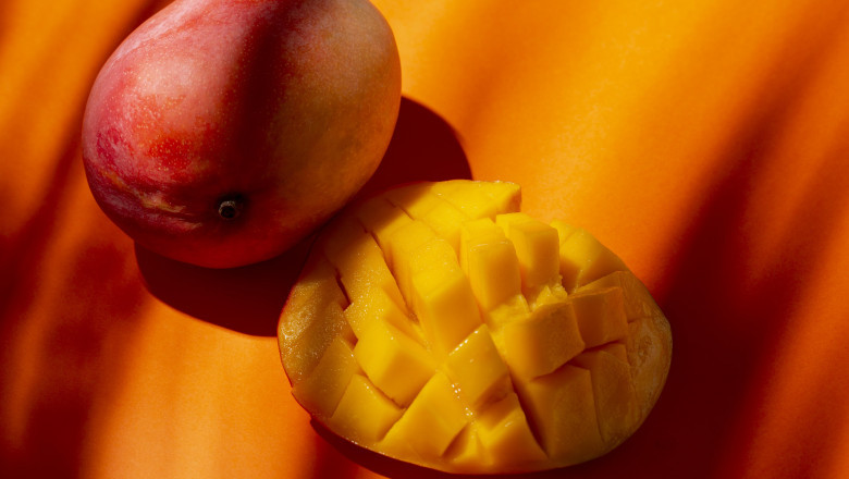 How Are Golden Lady Mangos Harvested