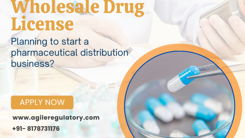 Investing in India's Pharmaceutical Sector: Key Considerations for Wholesale Ventures and Regulatory Adherence