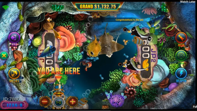 FireKirin XYZ APK – Download the Ultimate Arcade Experience on Your Mobile