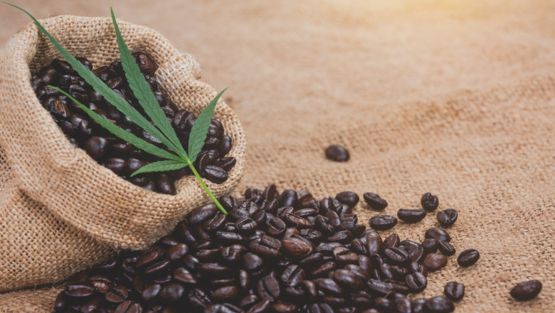 How Organic Coffee Supports Your Health and the Planet