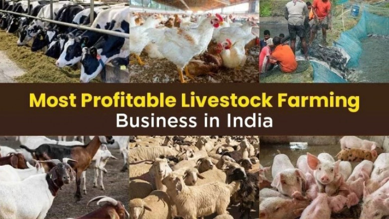 Overview of Livestock Farming in India