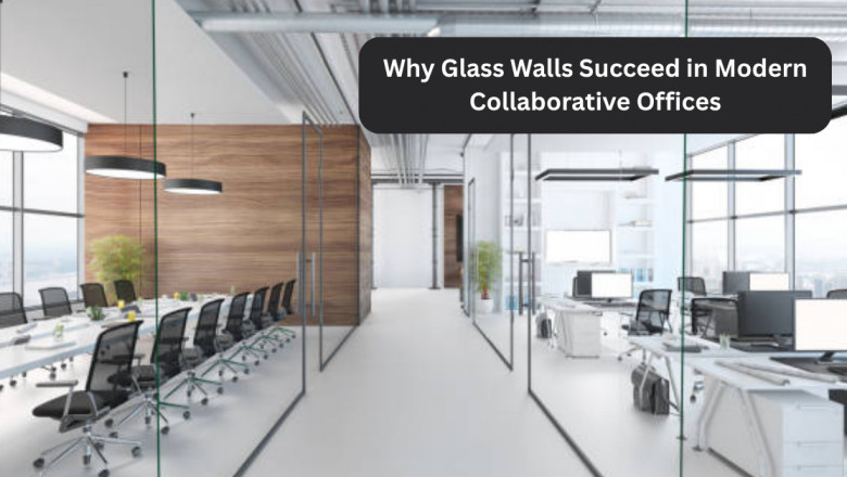 Why Glass Walls Succeed in Modern Collaborative Offices