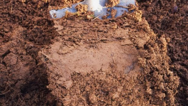 Natural Farm Remedies: Transform Your Soil with Proven Solutions