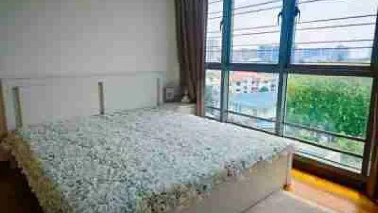 Pet-Friendly Apartments in Tampines Area: A Guide for Modern Pet Owners