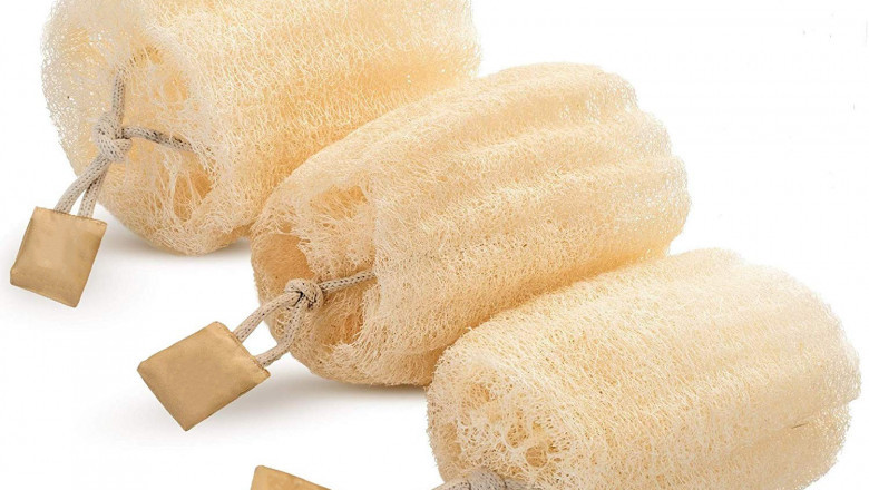 Unlock Radiant Skin Naturally with EGEXO’s Loofah Products for Skin Care