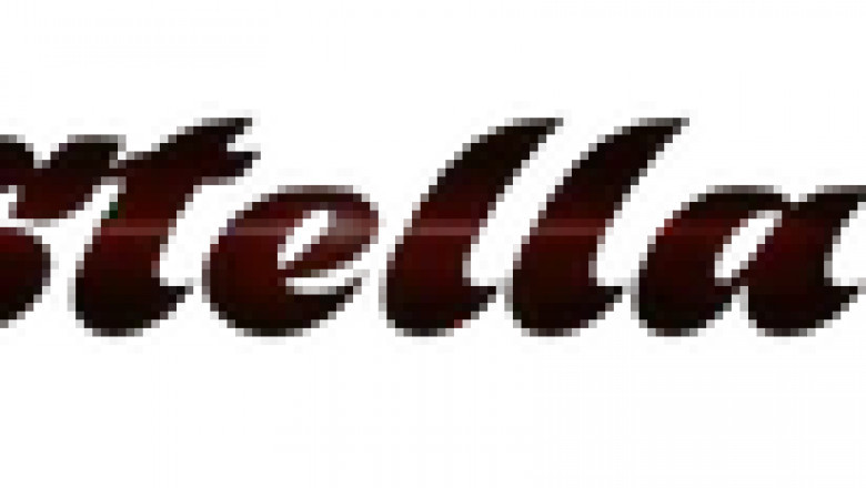 Shop Ladies Cargo Trousers &amp; Pants for Women | Girls Cargo – Stella