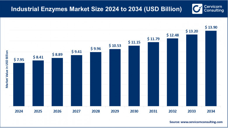 Industrial Enzymes Market Trends, Growth Drivers, and Future Opportunities (2025–2034)