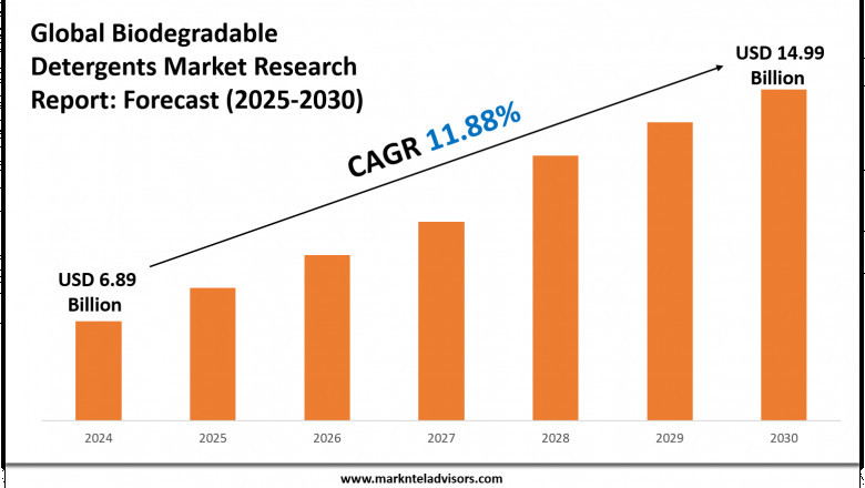 Biodegradable Detergents Market Overview 2025–2030: Demand &amp; Future Trends