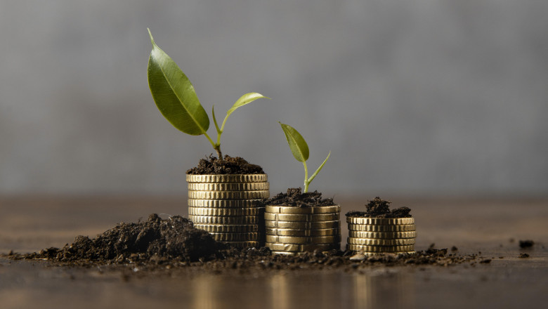 Can Top Mutual Fund Software in India Help Me Track XIRR for Investors?
