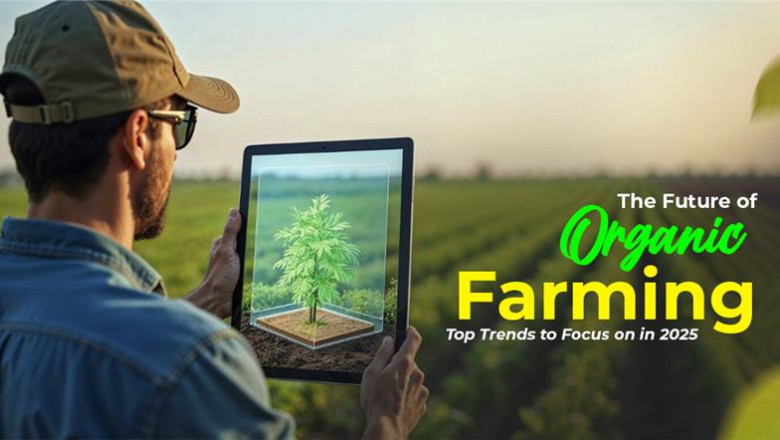 Future Of Organic Farming: Top Trends to Focus on in 2025
