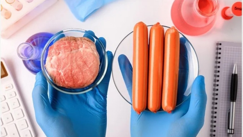 Synthetic Food Manufacturing Plant Cost 2025: Machinery and Raw Materials Requirement