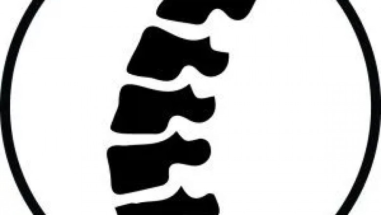 Tampa Family Chiropractic