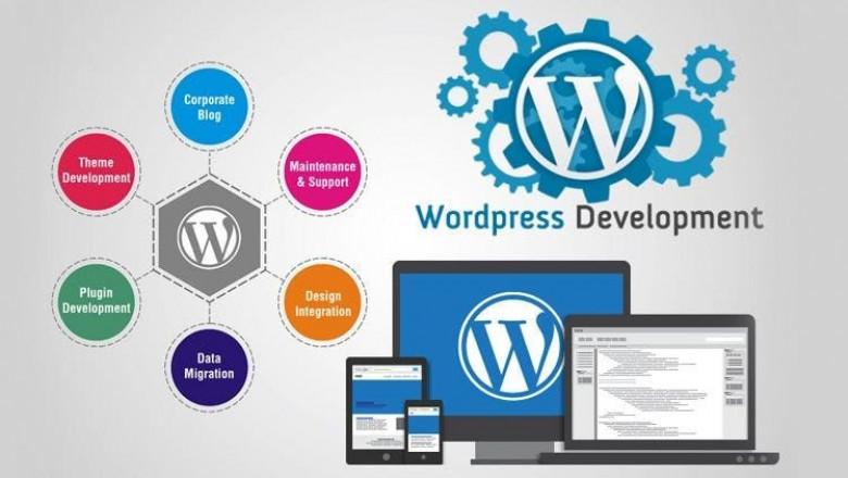 Digital Dominance in the UAE: Why WordPress and Custom Development Are the Winning Formula