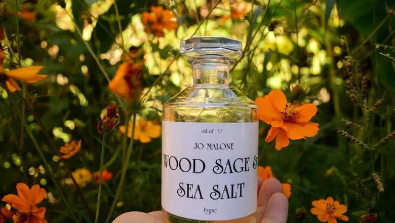 Why Perfume Oils Are the Secret to a Long-Lasting Signature Scent