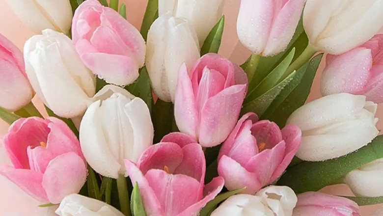 bouquet can convey emotions words often fail to expres