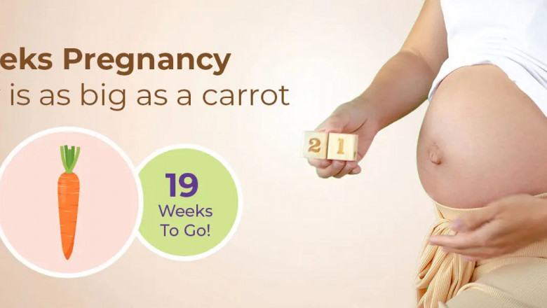 21 Weeks Pregnant