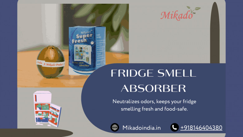 Keep Your Fridge Fresh: Why You Need a Smell Absorber Today