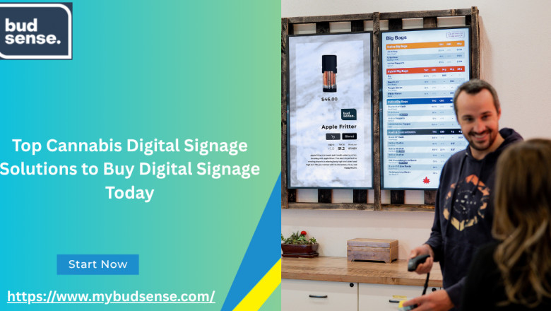 Top Cannabis Digital Signage Solutions to Buy Digital Signage Today