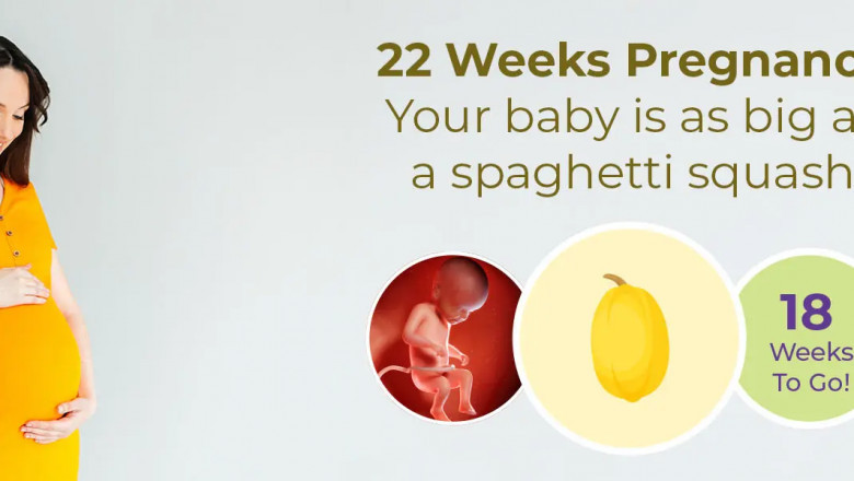 22 Weeks Pregnant: Symptoms, Baby Size and Your Growing Bump