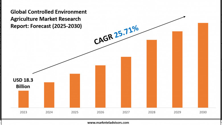 Controlled Environment Agriculture Industry Analysis 2024–2030: Market Insights &amp; Forecast