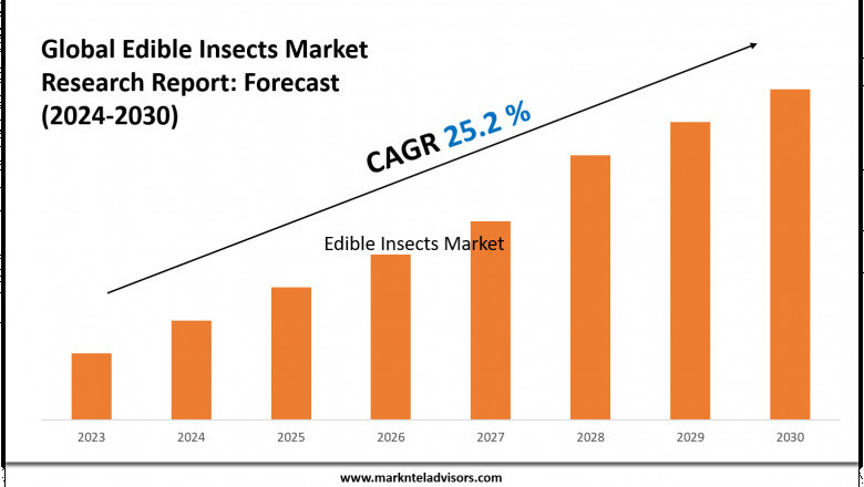 Edible Insects Market Overview 2024–2030: Demand &amp; Future Trends
