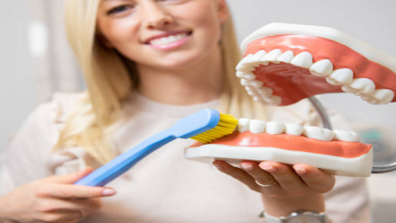What Happens During a Professional Dental Cleaning?