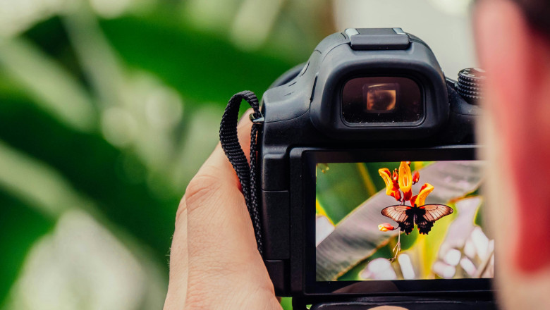 When Less Speaks More: The Art of Visual Simplicity