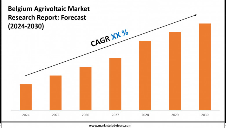 Belgium Agrivoltaic Industry Analysis 2024–2030: Market Insights & Forecast
