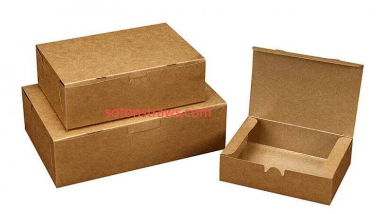 The Credibility Advantage: Soton's Disposable Kraft Box Approach